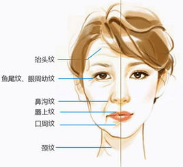 去除面部皱纹的方法有哪些呢