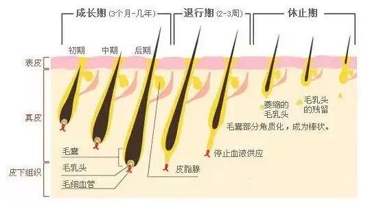 天津和记AG平台怡情娱乐官网做激光脱毛的价格高吗