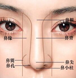 福州做隆鼻后手术后需要多长时间换一下假体材料