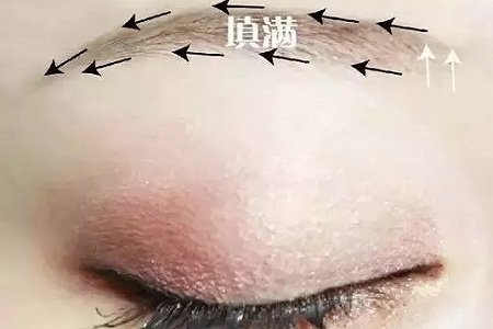 种眉毛一般多少钱