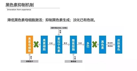 美白法宝