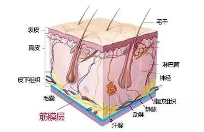 没有谁能永远年轻，不老都是保养的早！