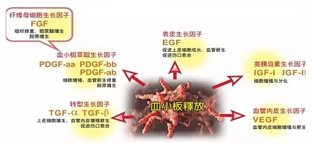 和记AG平台怡情娱乐官网prp自体基因再生疗法