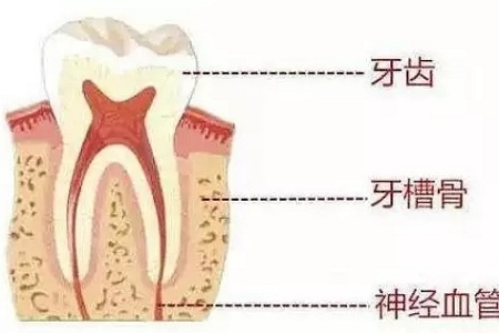 做牙齿矫正 ，真的要趁早！