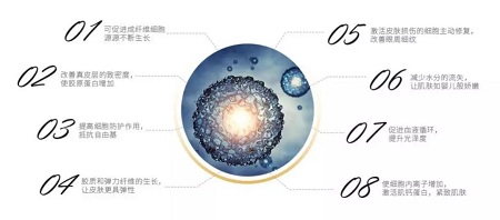 解密抗衰秘籍——中胚层疗法