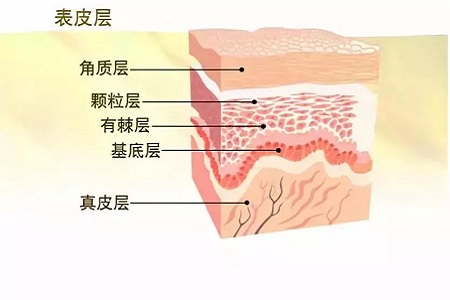 皮肤美白有哪些方法